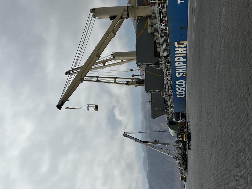 Camión MGLOG con carga especial en puerto